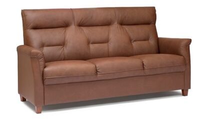 Anne 3-sohva nahkaisena