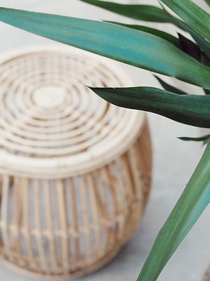 Lod rottinkirahi luonnonväri