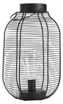 Lina puutarhavalaisin