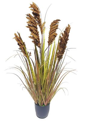 Koristeheinä ruskea (100 cm)