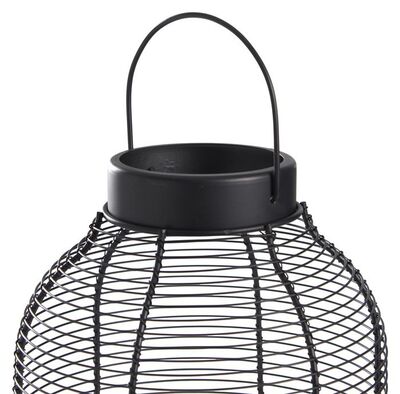 Lina puutarhavalaisin