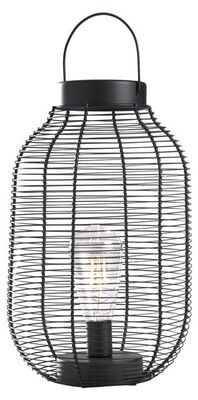 Lina puutarhavalaisin