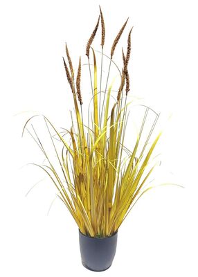 Koristeheinä luonnonvärinen (100 cm)