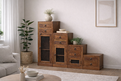 Acazia porraslipasto TOY 13